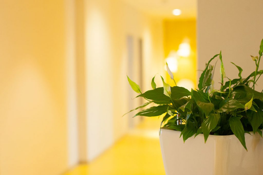 DAS THERAPEUTIKUM KREFELD